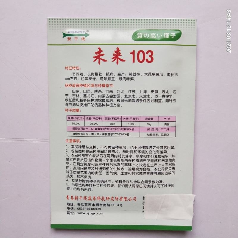 未来103水果黄瓜种子强磁7108品种种子