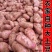 宁夏固原精品土豆青薯9号，基地直发，个头均匀，万斤批发