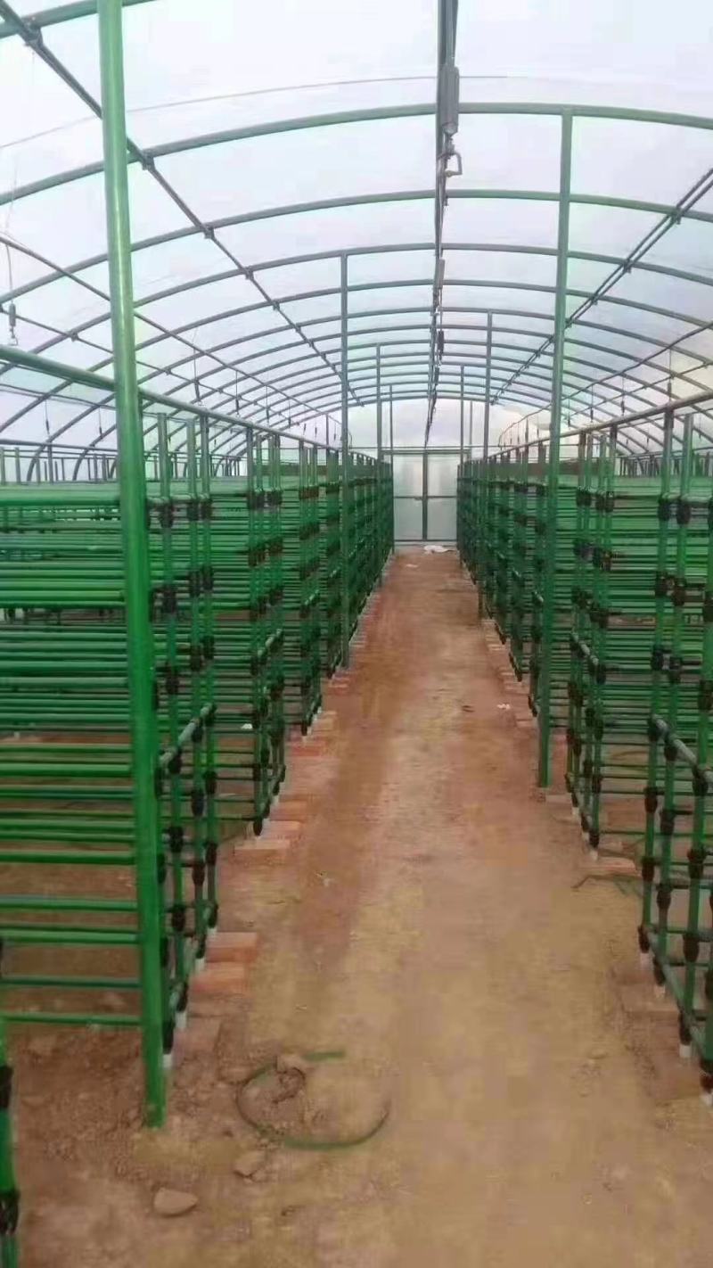 包塑椭圆管养殖棚用大棚管抗腐蚀耐老化