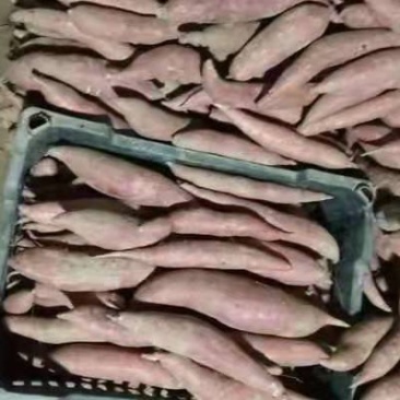 红薯