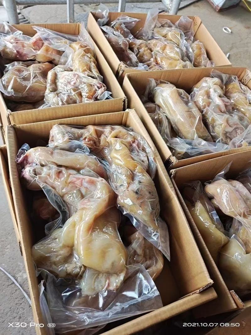 【熟牛蹄筋】熟牛蹄，全部带主筋，每天加工，现货发售。