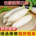 【白罗卜】精品白萝卜产地直销保质保量，欢迎订购