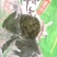 茶叶