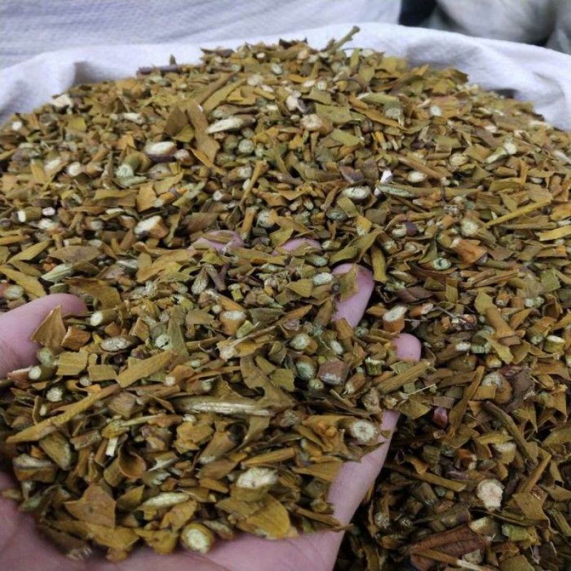 桑寄生，产地直供道地药材，药典标准支持线上交易保障
