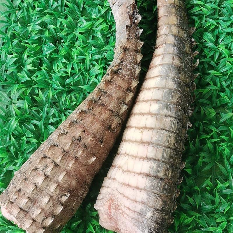 大量批发零售商品鳄鱼尾，鳄鱼腿，鳄鱼背
