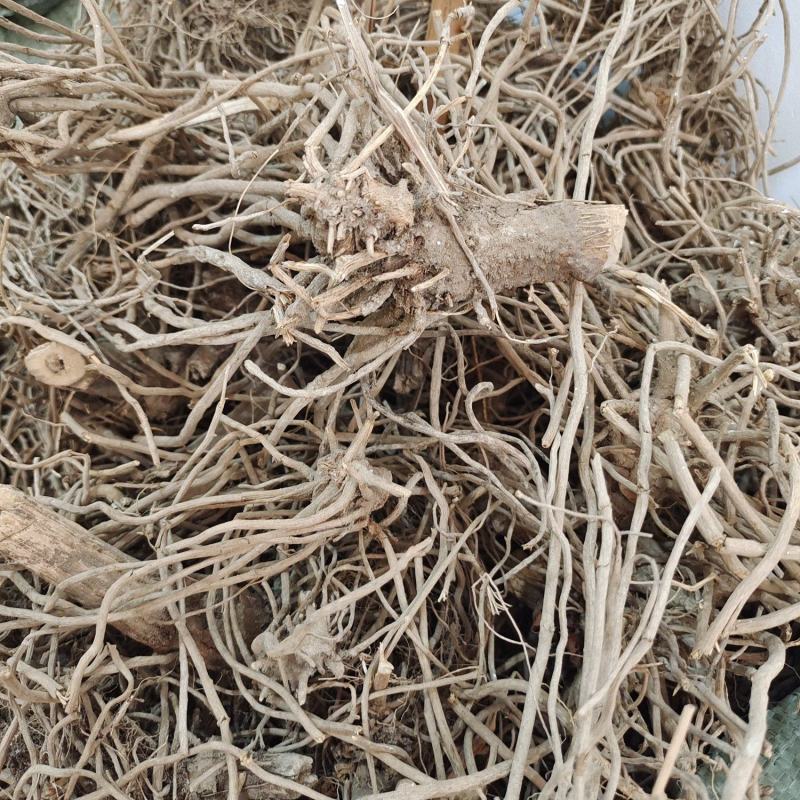 中药材土牛膝～质量保证～量大从优～货源充足