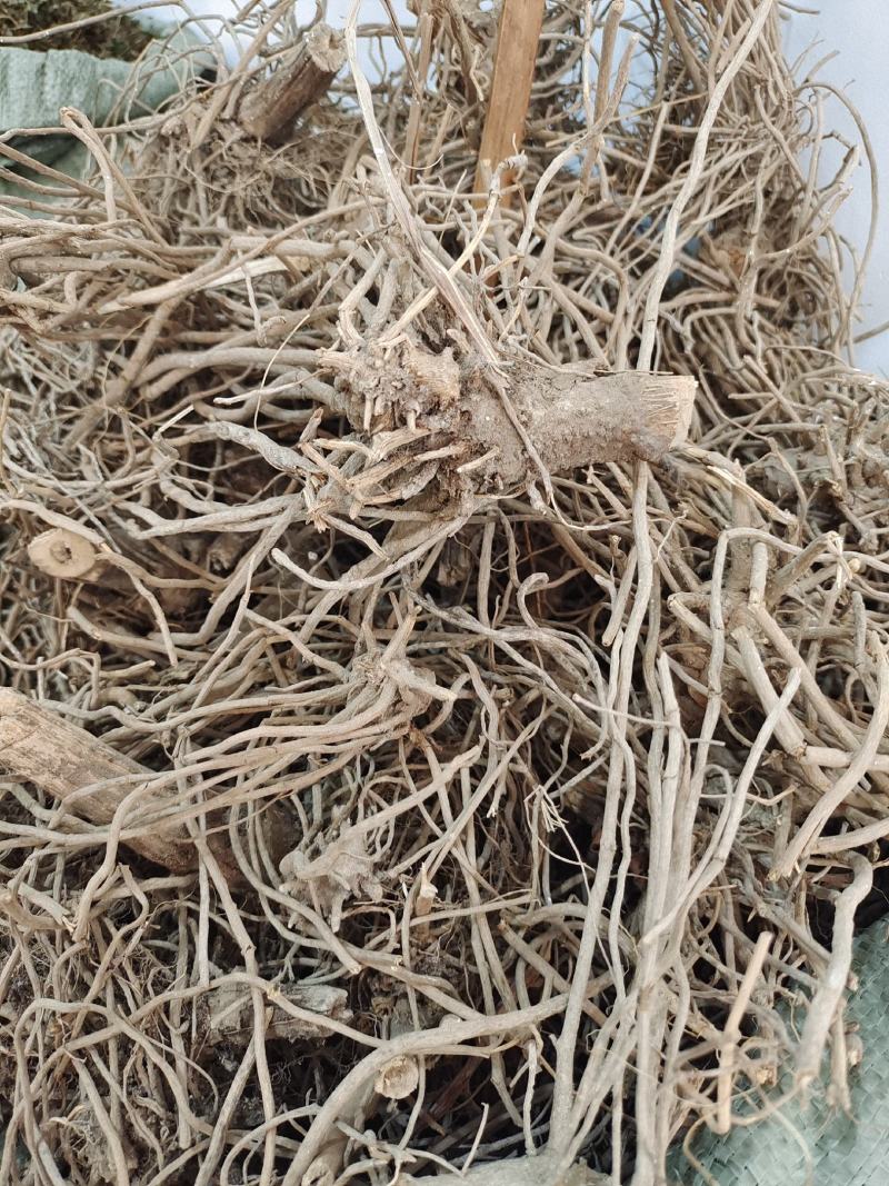 中药材土牛膝～质量保证～量大从优～货源充足