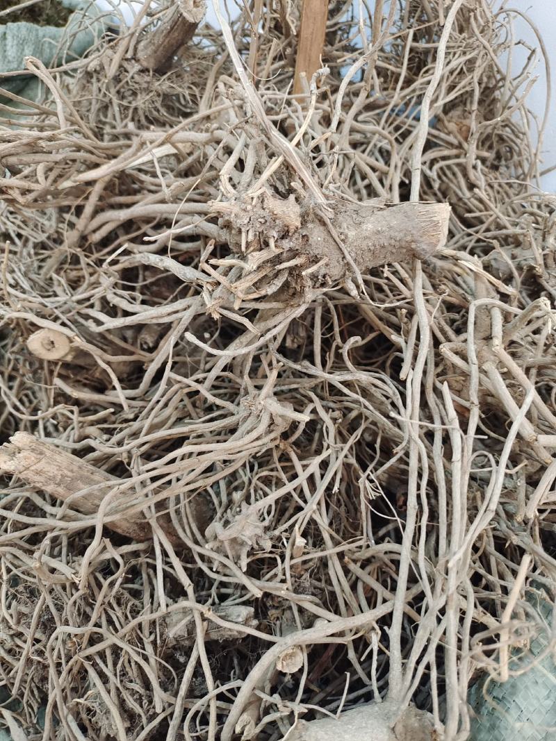 中药材土牛膝～质量保证～量大从优～货源充足
