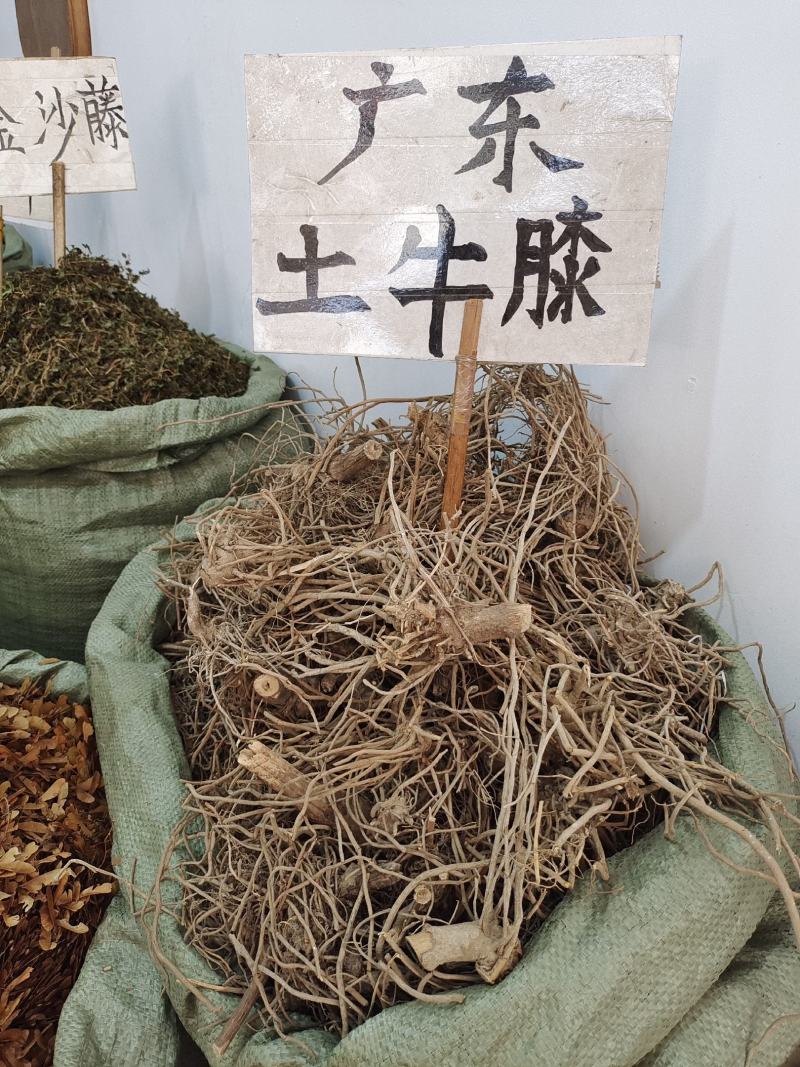 中药材土牛膝～质量保证～量大从优～货源充足