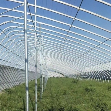 钢架大棚设计专业安装农业种植养殖温室骨架