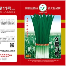 (高产久11）杂交韭菜种子，抗寒耐热，叶色浓绿，优质高产