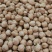 鹰嘴豆大货批发零售产地直发量大从优一手货源