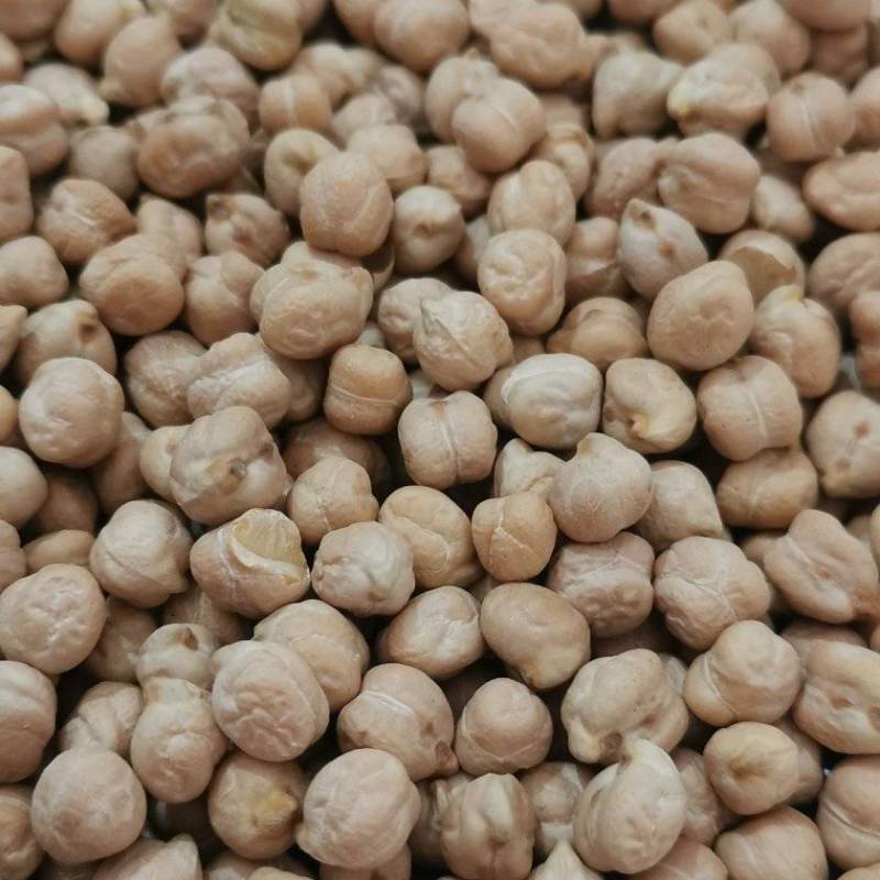 鹰嘴豆大货批发零售产地直发量大从优一手货源