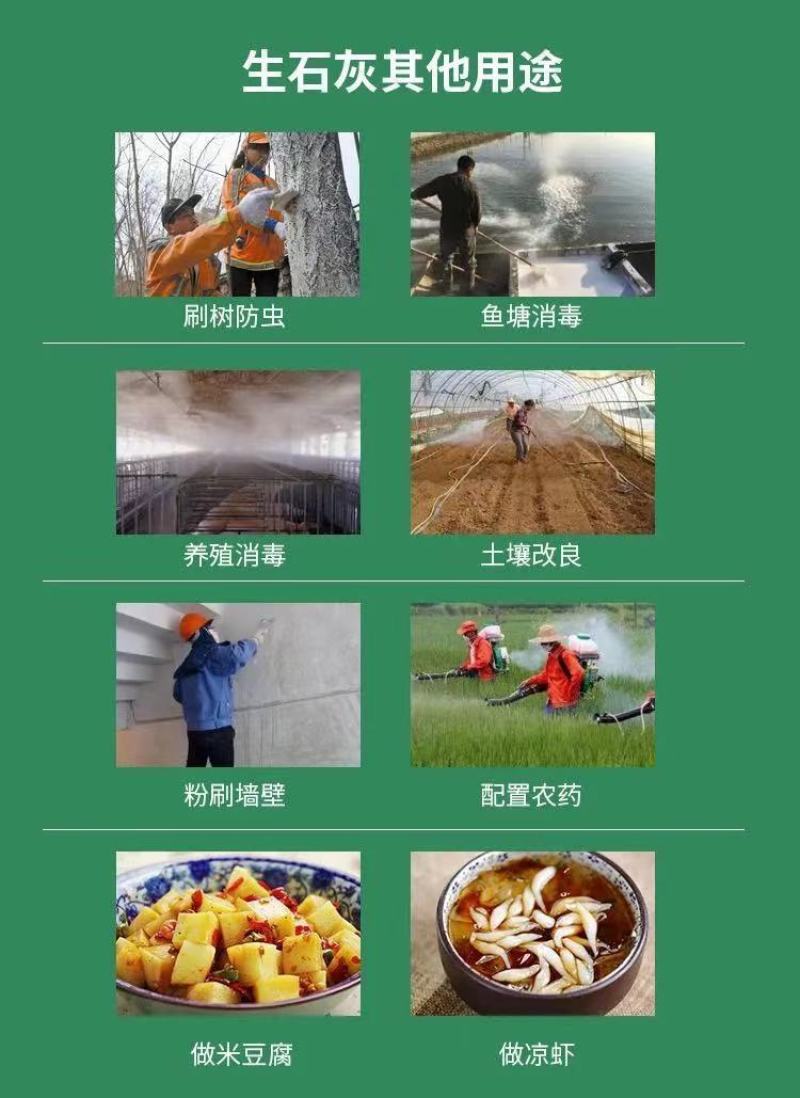 生石灰粉块消毒杀菌防虫净化水质改良土壤树木刷白防霉除湿