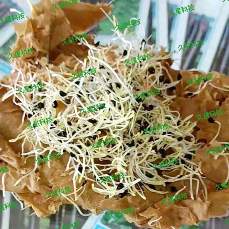 久星5号:韭菜种子，直立粗壮，抗倒伏叶片肥厚，抗病虫害