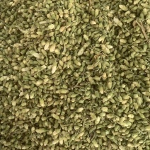槐米【包邮】三斤起发货可批量可零售量大从优