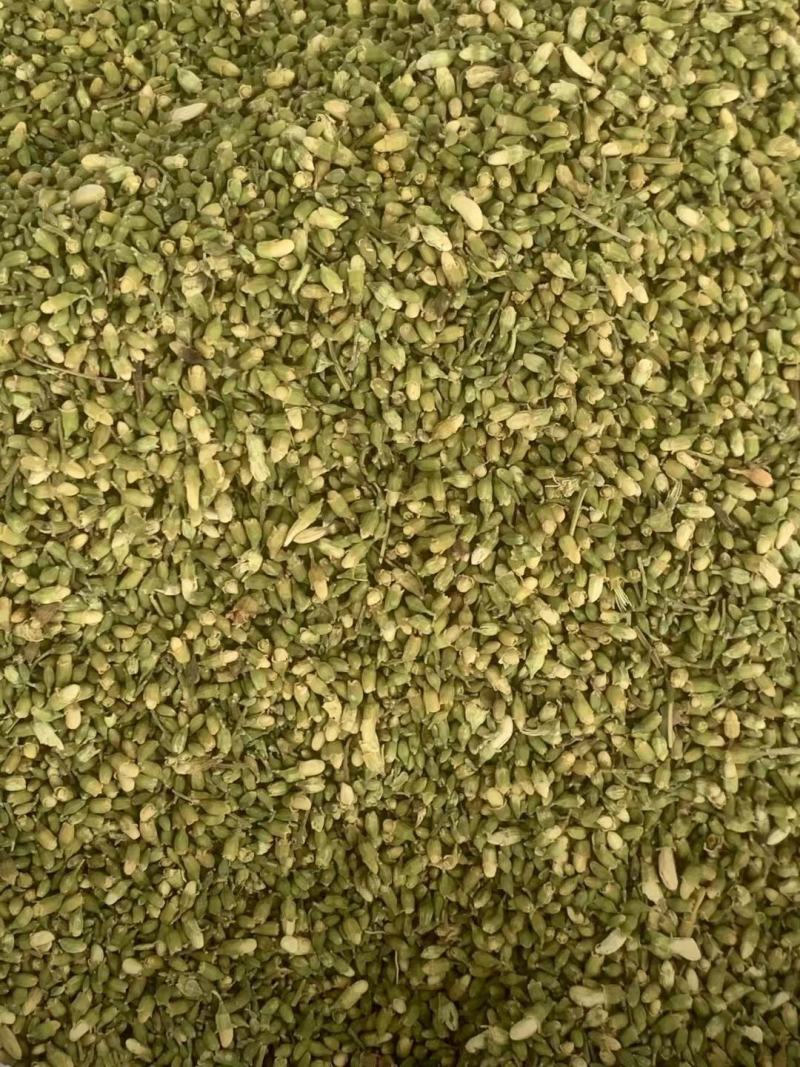 槐米【包邮】三斤起发货可批量可零售量大从优