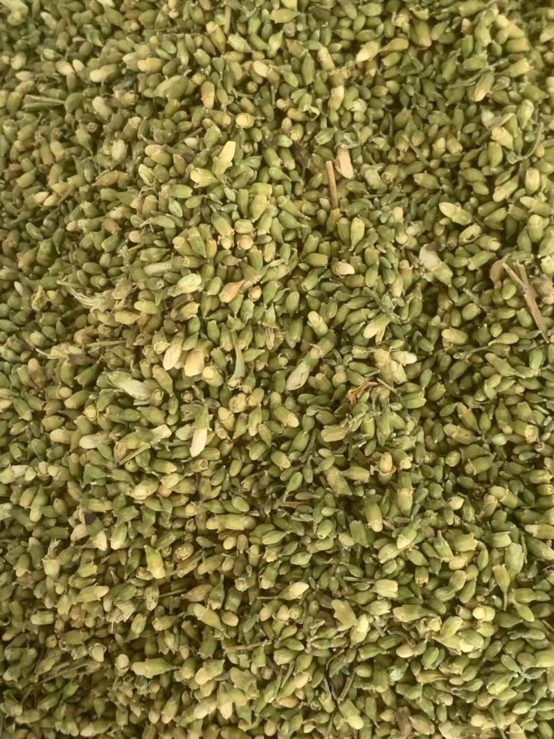 槐米【包邮】三斤起发货可批量可零售量大从优