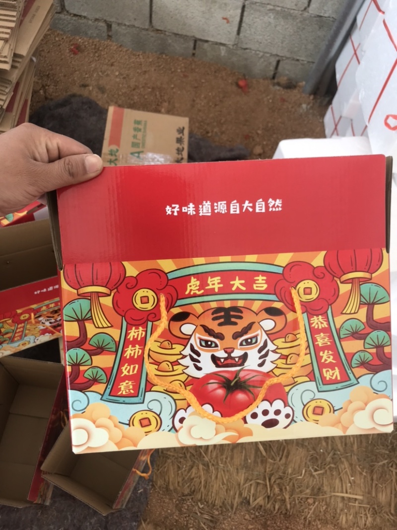 海阳生吃西红柿