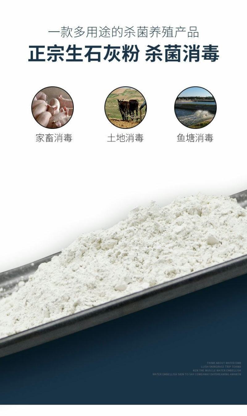 茶海生石灰粉块室内防潮防霉干燥剂养殖杀菌消毒除湿驱虫净水