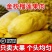 【爆甜爆糯】AAA级金枕头新鲜冻榴莲肉水果无壳果肉批发