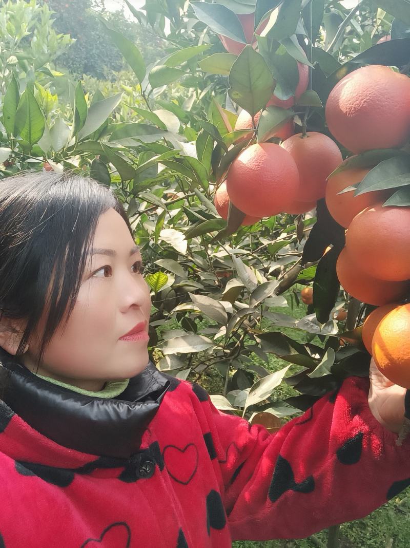 资中塔罗科血橙