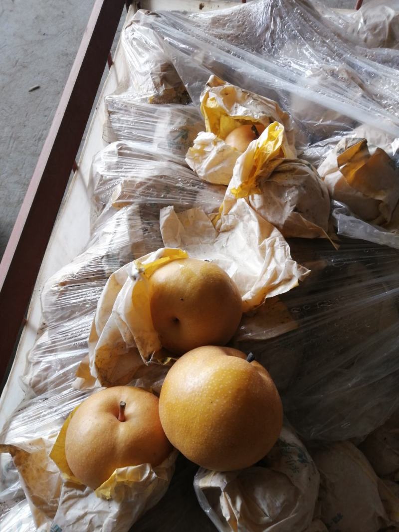 莱阳，华山，黄金，秋月，南水