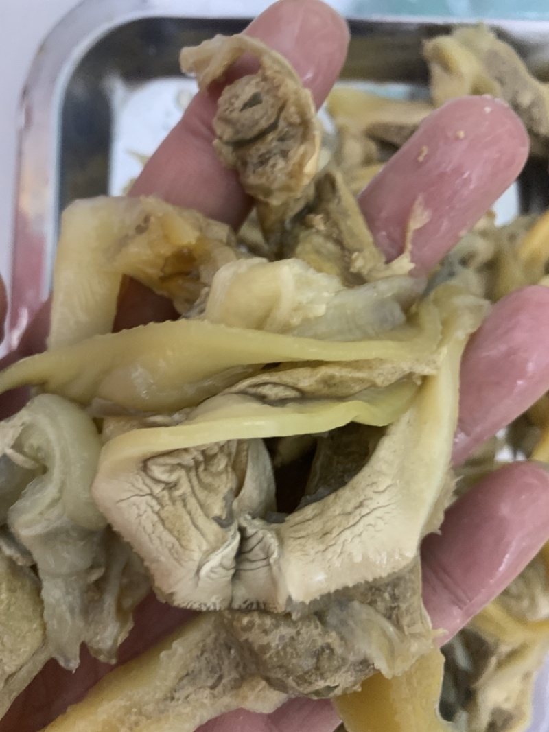 河蚌肉，歪子肉