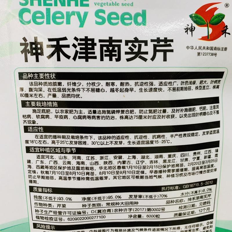 神禾津南实芹种子耐寒耐热纤维少芹菜种子南北方均可种植