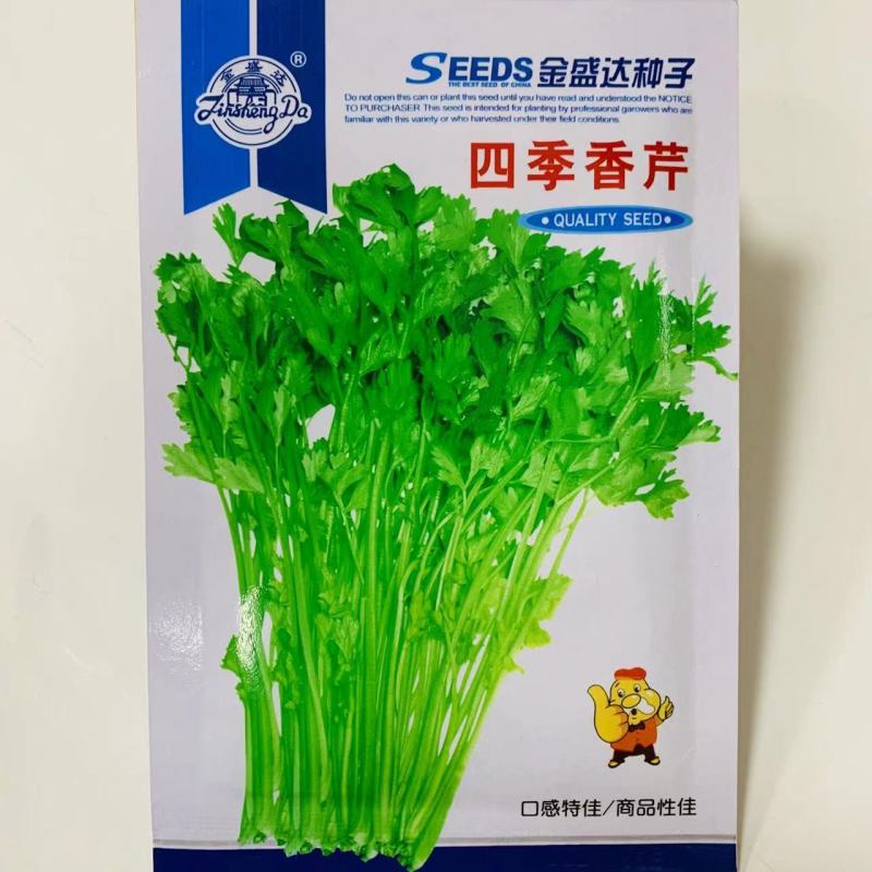 津南实芹，四季香芹种子实芹种子黄心芹菜种子纤维少