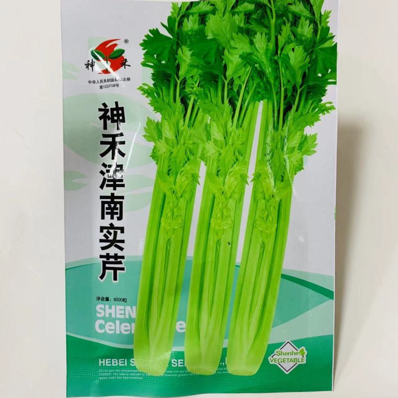 津南实芹，四季香芹种子实芹种子黄心芹菜种子纤维少