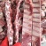 黑猪肉、藏香猪、草猪排和骨头，肉质细腻紧实，弹性十足。