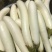 水果茄子种子白茄子种子白雪公主白长茄种子抗逆性佳洁白茄子