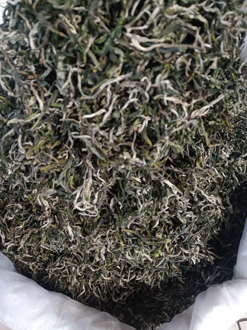 云南普洱绿茶_春茶