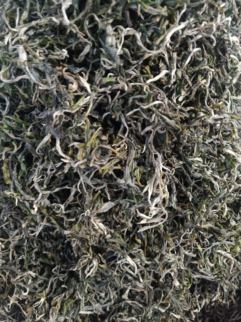 云南普洱绿茶_春茶