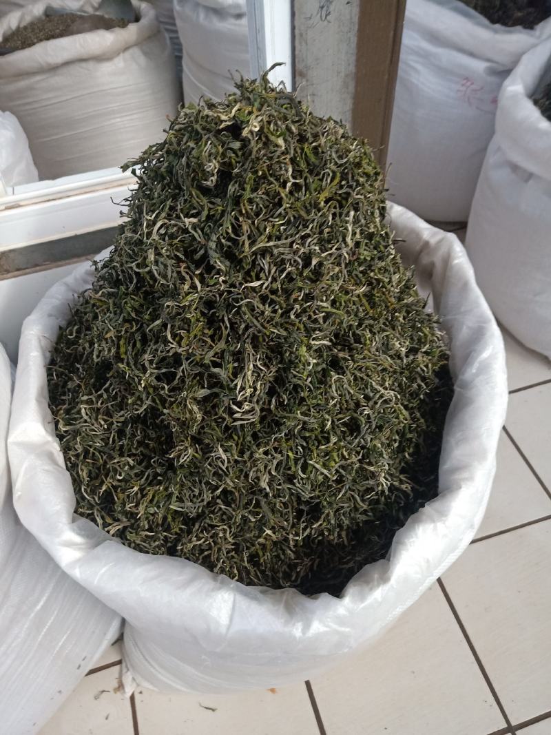 云南普洱绿茶_春茶