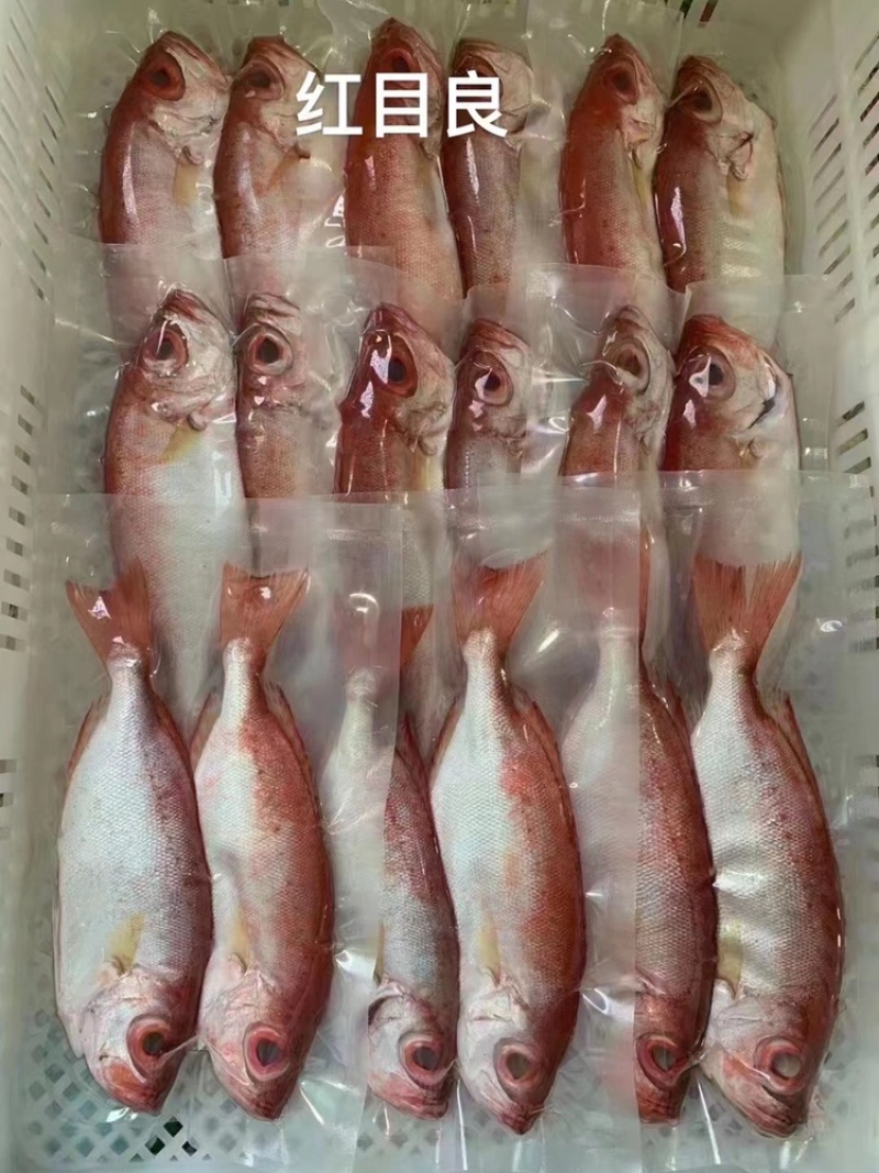 南海。海鲜干货