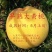 新品种早熟大黄桃桃树苗嫁接桃树苗南北方种植当年结果果树苗