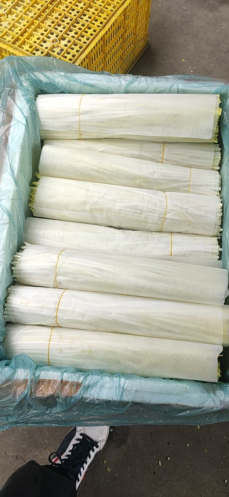 长期大量出售广东、贵州、江苏精品韭黄，原产地直发。