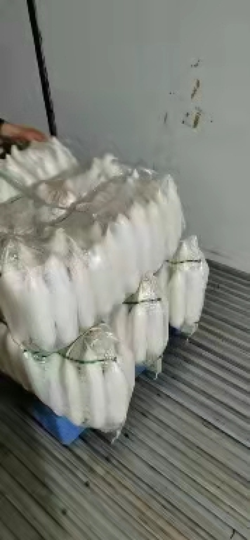【萝卜】湖北白萝卜，持续供应中，打包装车一条龙服务