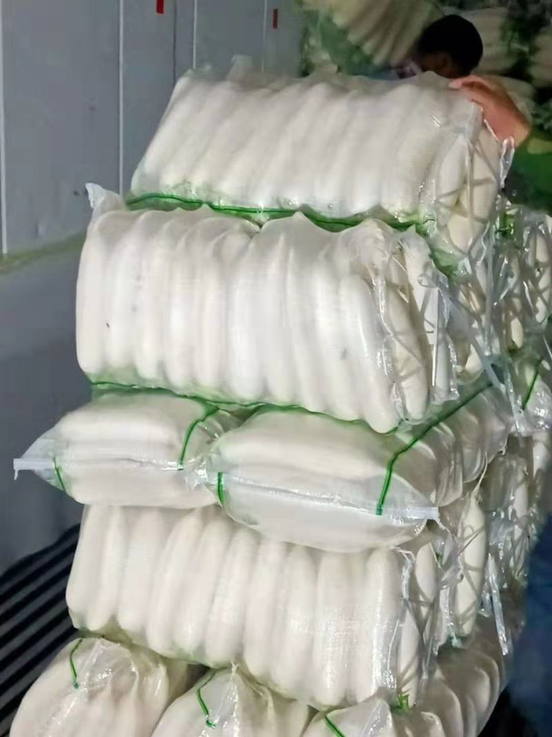 【萝卜】湖北白萝卜，持续供应中，打包装车一条龙服务