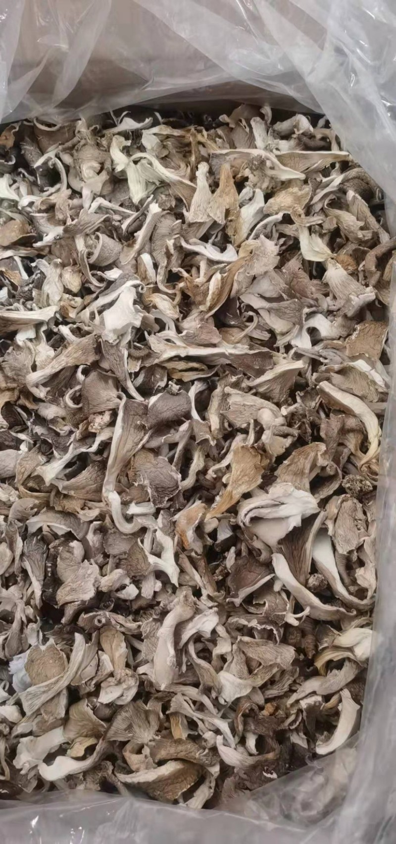 平菇平菇丝平菇干产地直销性价比高干净净重