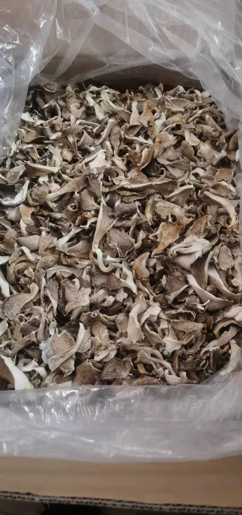 平菇平菇丝平菇干产地直销性价比高干净净重
