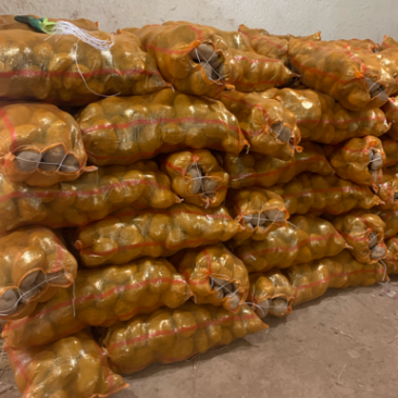定西土豆大量批发.定西土豆长期出售.规格齐全、精选土豆