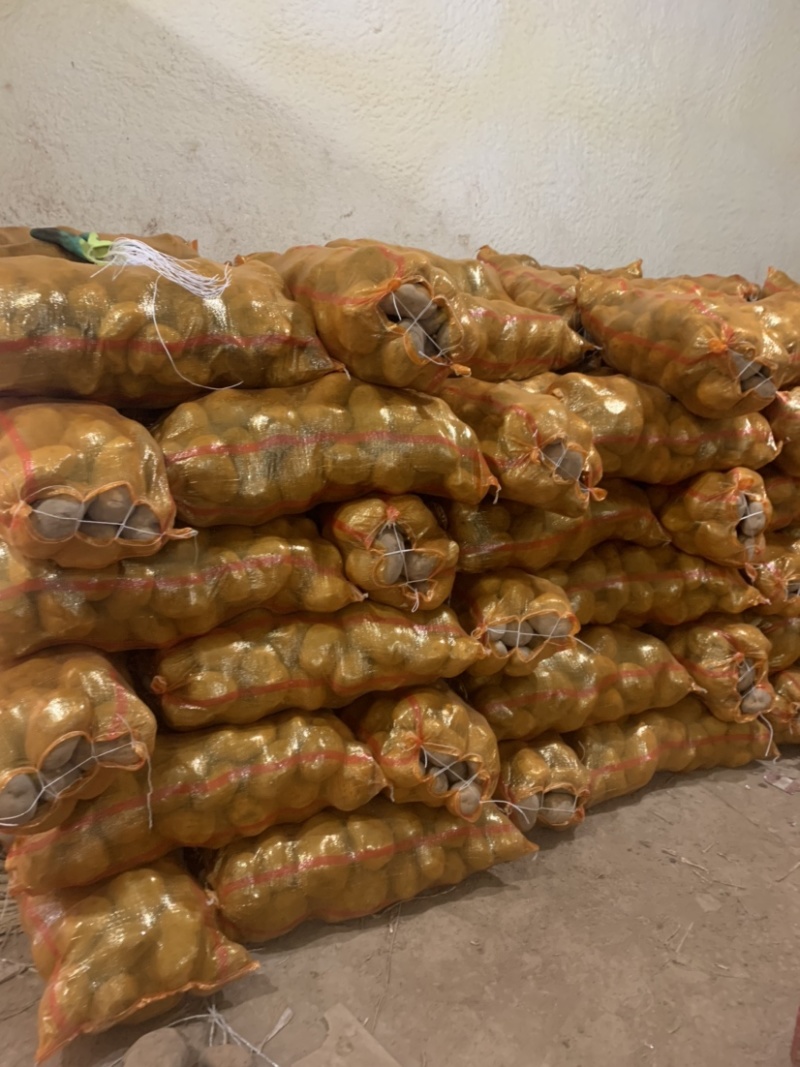 定西土豆大量批发.定西土豆长期出售.规格齐全、精选土豆
