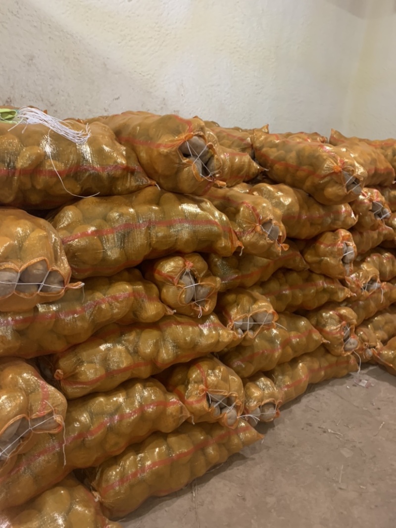 定西土豆大量批发.定西土豆长期出售.规格齐全、精选土豆