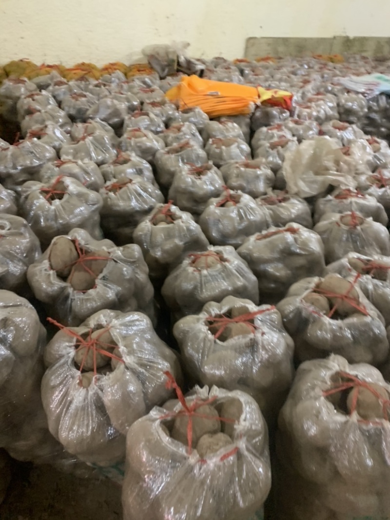 定西土豆大量批发.定西土豆长期出售.规格齐全、精选土豆