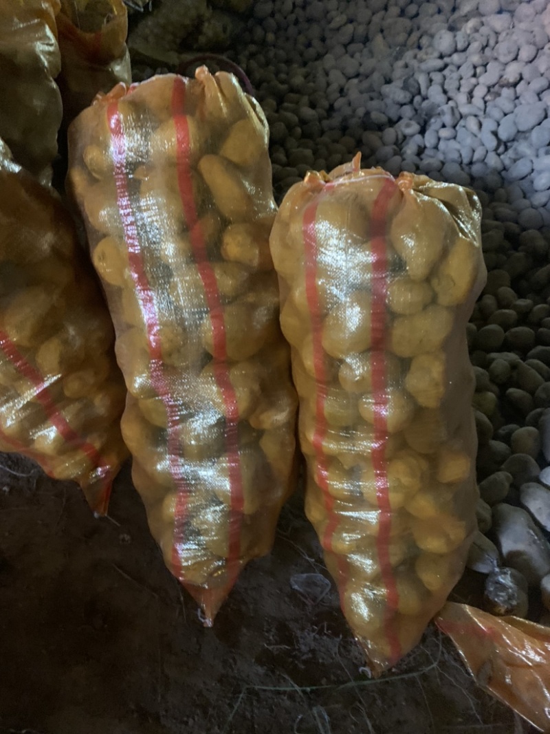定西土豆大量批发.定西土豆长期出售.规格齐全、精选土豆