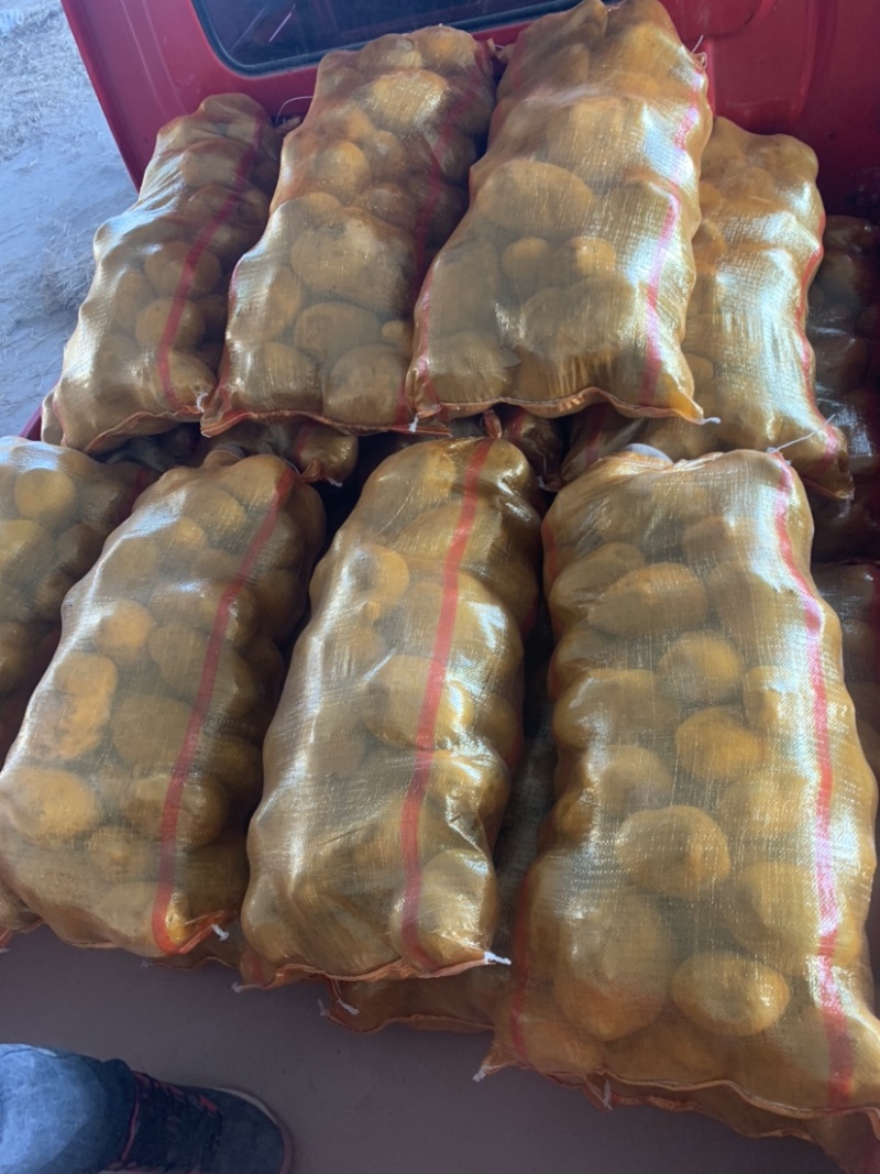 定西土豆大量批发.定西土豆长期出售.规格齐全、精选土豆