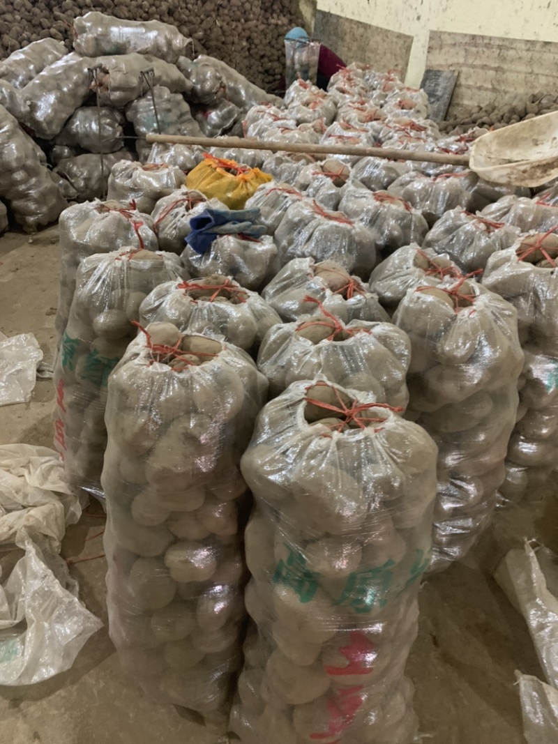 定西土豆大量批发.定西土豆长期出售.规格齐全、精选土豆